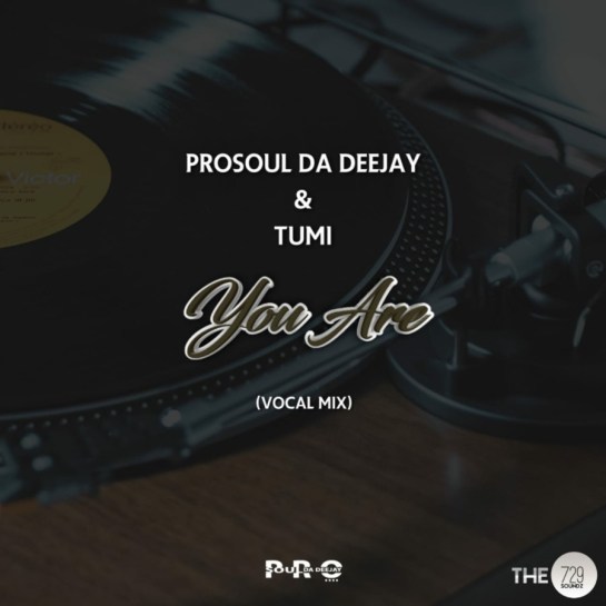 ProSoul Da Deejay You Are Mp3 Download