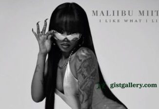 Maliibu Miitch I Like What I Like Mp3 Download